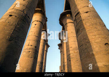 La colonnade d'Amenhotep III, temple de Luxor, Luxor, Egypte Banque D'Images