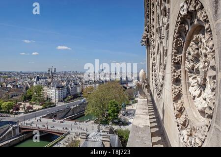 France, Paris, d'une zone inscrite au Patrimoine Mondial de l'UNESCO, la rosace sud de la cathédrale Notre-Dame sur l'île de ville Banque D'Images