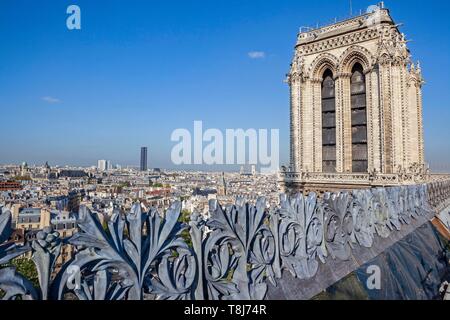 France, Paris, d'une zone inscrite au Patrimoine Mondial de l'UNESCO, l'rooth et la tour sud de la cathédrale Notre-Dame sur l'île de ville Banque D'Images