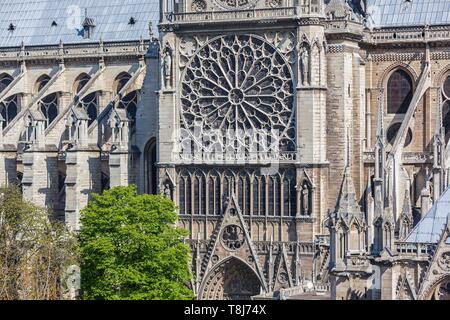 France, Paris, d'une zone inscrite au Patrimoine Mondial de l'UNESCO, la rosace sud de la cathédrale Notre-Dame sur l'île de ville Banque D'Images