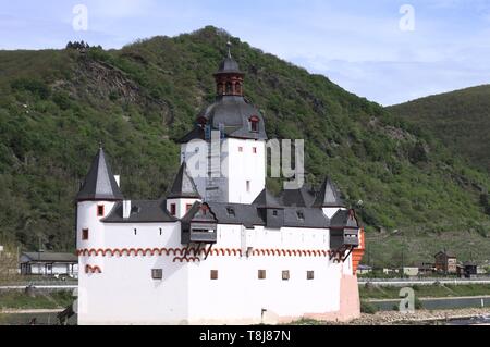 Château Pfalzgrafenstein (allemand : Burg Pfalzgrafenstein) est un château sans frais sur l'île de Falkenau, autrement connu comme l'île dans le Palatinat du Rhin (K Banque D'Images