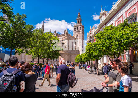 Séville, Espagne - 8 mai 2019 La Cathédrale de Séville, vu de la Calle Mateos Gago . Banque D'Images