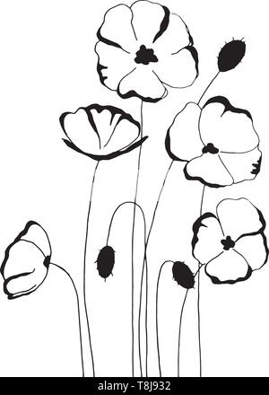 Fleurs de pavot, le dessin et croquis avec line-art sur fonds blancs. Illustration de Vecteur