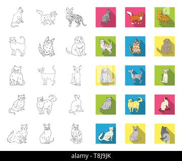 Angora,américain,animal,race,apparence,la,cat,personnage,chartreux,chocolat,collection,griffe,cornish,mignon,design,branche,exotiques,pliage,félin fourrure,les habitudes,icône,,illustration,et,aussi,isolé,cheveux longs,mammifère,rock,norvégien,télévision,plan,animal,peterbald persan,purr,rex,savannah,scottish,semi,set,informatique,,siamois sphynx,signe symbole,câline,vecteur,laine,New york,vecteurs vecteur , Illustration de Vecteur