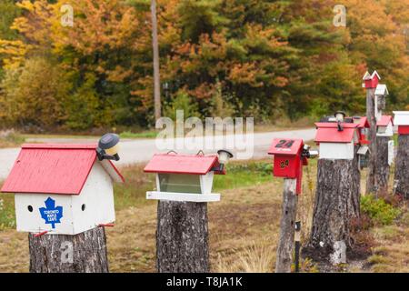 Le Canada, le Nouveau-Brunswick, la vallée de la rivière Kennebecasis, Smiths Creek, des birdhouses Banque D'Images