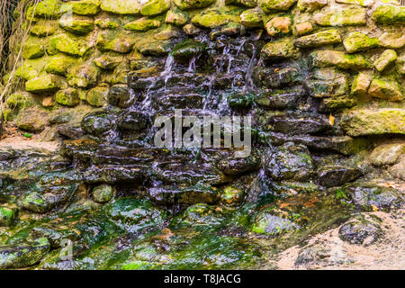Petite chute d'eau dans un jardin, l'eau coulant au-dessus d'un mur de pierres, de l'architecture de basse-cour Banque D'Images