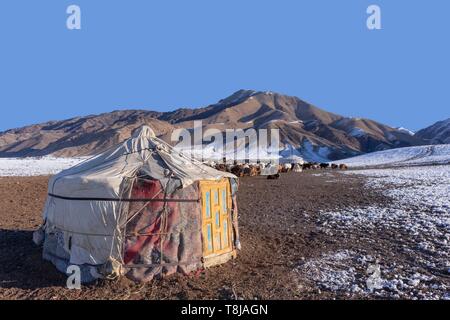 La Mongolie, à l'ouest de la Mongolie, Altaï, vallée de neige et de roches, bergerie, Yourte dans la neige, l'élevage de moutons et de chèvres Banque D'Images