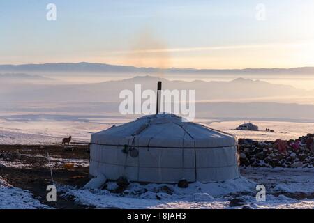 La Mongolie, à l'ouest de la Mongolie, Altaï, vallée de neige et de roches, bergerie, Yourte dans la neige, l'élevage de moutons et de chèvres Banque D'Images