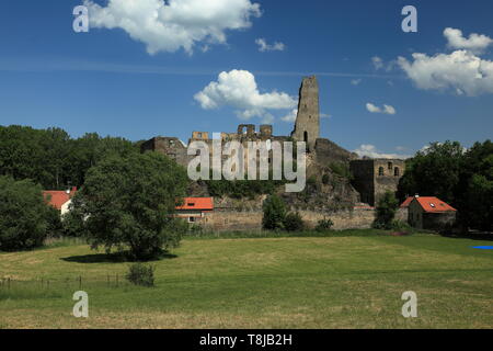 Ruines du château (en tchèque Okor Okoř),au nord-ouest de Prague, dans la région de la République tchèque. Banque D'Images