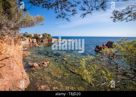 La France, Var, Agay, commune de Saint Raphaël, la calanque des Anglais Banque D'Images