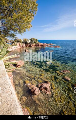 La France, Var, Agay, commune de Saint Raphaël, la calanque des Anglais Banque D'Images