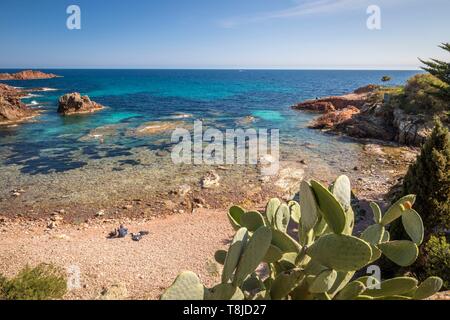 La France, Var, corniche de l'Esterel Agay, commune de Saint Raphaël, l'anse de la Baumette Banque D'Images