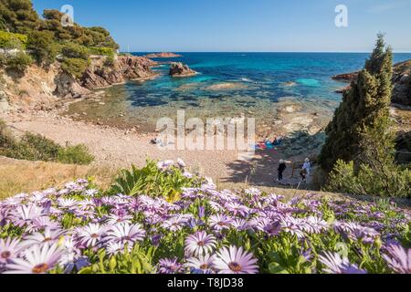 La France, Var, corniche de l'Esterel Agay, commune de Saint Raphaël, l'anse de la Baumette Banque D'Images