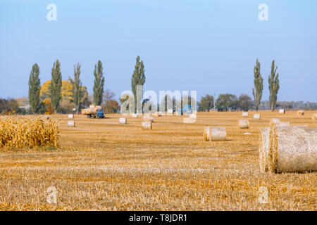 La récolte de foin sous caution en automne merveilleux paysage avec les meules de foin Banque D'Images