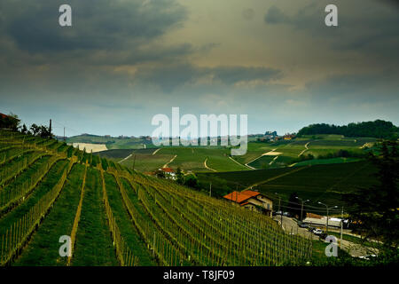 Monforte d'alba avec son village médiéval, ses églises anciennes et les collines où les vignes qui donnent vie à la célèbre vin piémontais règne supr Banque D'Images