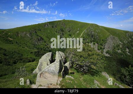 La France, Haut Rhin, Hautes Vosges, le Hohneck, troisième sommet du massif des Vosges avec 1 363 mètres d'altitude, domine la ligne de crêtes qui sépare l'Alsace Lorraine Banque D'Images