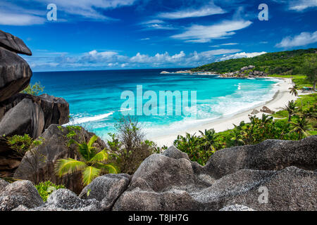 Vue imprenable sur la Grande Anse beach situé sur l'île de La Digue, Seychelles Banque D'Images