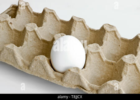Oeuf blanc solitaire dans l'emballage en carton pour les oeufs de la ferme d'élevage de poulets Banque D'Images