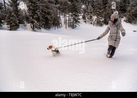 Jeune fille sur une marche avec son chien beagle en hiver s'amuser sur la neige première fois. Banque D'Images