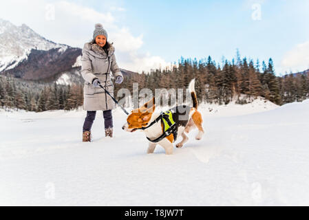 Jeune fille sur une marche avec son chien beagle en hiver s'amuser sur la neige première fois. Banque D'Images