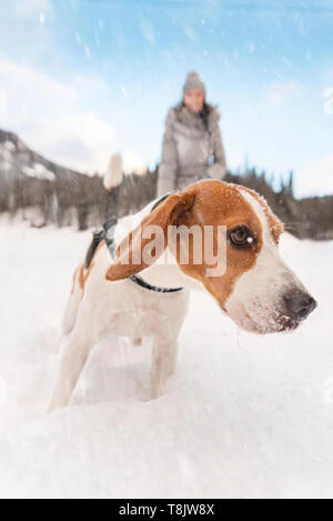 Jeune fille sur une marche avec son chien beagle en hiver s'amuser sur la neige première fois. Banque D'Images