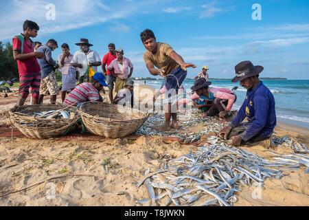 Sri Lanka, province Orientale, Kalkudah, pêcheurs tirant leur filet sur Kalkudah beach Banque D'Images