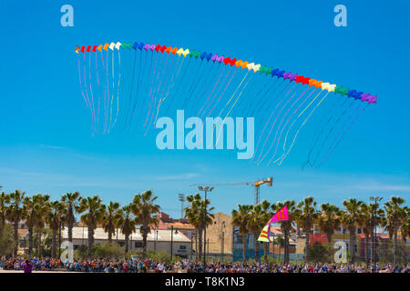 Valence, Espagne. 12 mai 2019 : Festival International de cerf-volant. Plage de la Malvarrosa. Concours avec des vols acrobatiques et chorégraphique. 50 cerfs-volants dans une rangée Banque D'Images