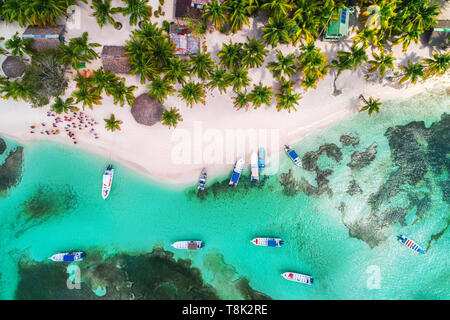 Vue aérienne de la plage tropicale. L'île de Saona, République Dominicaine Banque D'Images