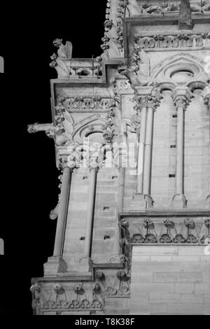 Vue de nuit sur la Basilique de Notre Dame de Paris en France avec effet aux tons noir et blanc Banque D'Images