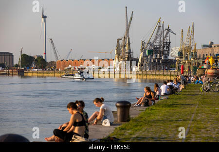 Froid le soir sur les rives de l'Escaut, sur la rive droite, l'ancienne zone portuaire, d'Anvers, Flandre, Belgique, le vieux port, des restaurants, des grues Banque D'Images