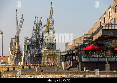 Froid le soir sur les rives de l'Escaut, sur la rive droite, l'ancienne zone portuaire, d'Anvers, Flandre, Belgique, le vieux port, des restaurants, des grues Banque D'Images