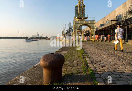 Froid le soir sur les rives de l'Escaut, sur la rive droite, l'ancienne zone portuaire, d'Anvers, Flandre, Belgique, le vieux port, des restaurants, des grues Banque D'Images