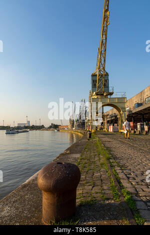 Froid le soir sur les rives de l'Escaut, sur la rive droite, l'ancienne zone portuaire, d'Anvers, Flandre, Belgique, le vieux port, des restaurants, des grues Banque D'Images