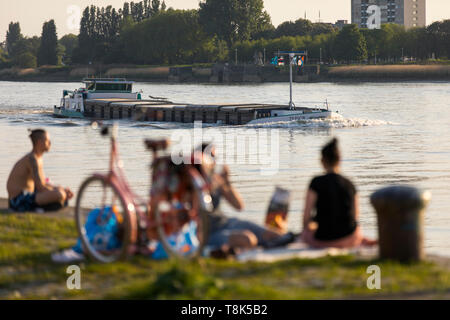 Froid le soir sur les rives de l'Escaut, sur la rive droite, l'ancienne zone portuaire, d'Anvers, Flandre, Belgique, Banque D'Images