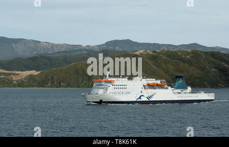 AJAXNETPHOTO. Février, 2019. WELLINGTON, Nouvelle-zélande. - KAITAKI FERRY INTERISLANDER DE WELLINGTON ENTRÉE NELSON. photo:RICK GODLEY/AJAX REF:190205 0163 Banque D'Images