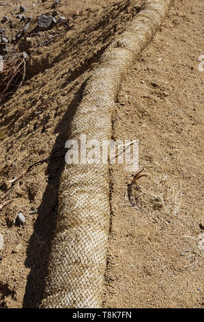 Wattle paille jalonné le long d'une pente pour contrôler le ruissellement et l'érosion sur un site de construction Banque D'Images