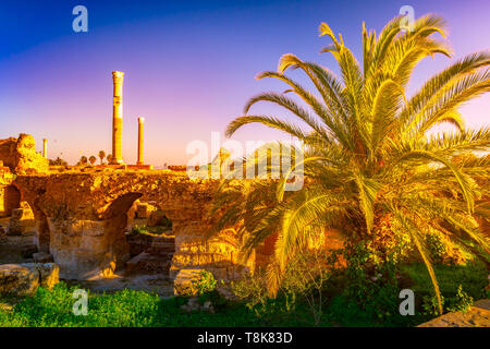 Belle vue avec vestiges antiques de Carthage et de paysage tropical. Tunis, Tunisie. Banque D'Images