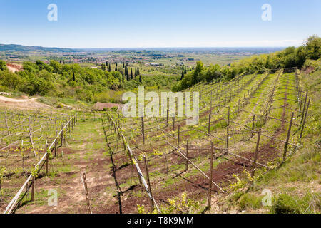 Paysage de collines de Valpolicella, la viticulture Italienne, Italie. Paysage rural Banque D'Images