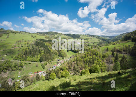 Paysage dans la partie sud de la Forêt Noire en Allemagne, près de Rohrberg, près de Zell im Wiesental. Banque D'Images