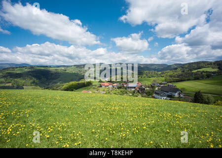 Paysage dans la partie sud de la Forêt Noire en Allemagne, près de Rohrberg, près de Zell im Wiesental. Banque D'Images