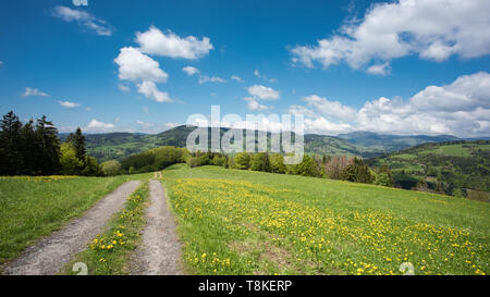 Paysage dans la partie sud de la Forêt Noire en Allemagne, près de Rohrberg, près de Zell im Wiesental. Banque D'Images