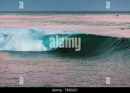 Session Surfig avec des vagues tubulaires parfaites à cabo blanco lima Pérou Banque D'Images