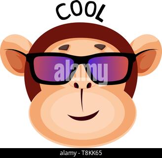 Monkey se sent cool, illustration, vecteur sur fond blanc. Illustration de Vecteur