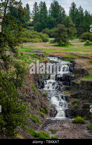 Canyon de porcs Falls Banque D'Images