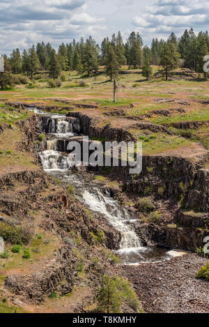 Canyon de porcs Falls Banque D'Images