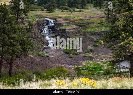 Canyon de porcs Falls Banque D'Images