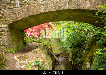 Photographie en couleur au point sélective axée sur l'ancien pont en pierre rose avec azaelea et ruisseau en arrière-plan. Branksome chine gardens, Poole, Dorset, Angleterre Banque D'Images