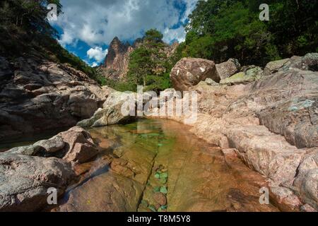 France, Corse du Sud, les gorges de Spelunca, près de Porto Banque D'Images