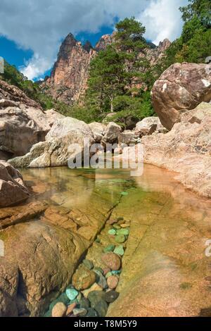 France, Corse du Sud, les gorges de Spelunca, près de Porto Banque D'Images