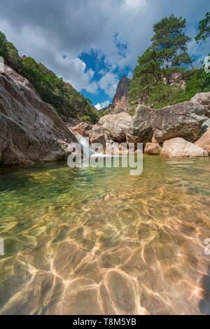 France, Corse du Sud, les gorges de Spelunca, près de Porto Banque D'Images